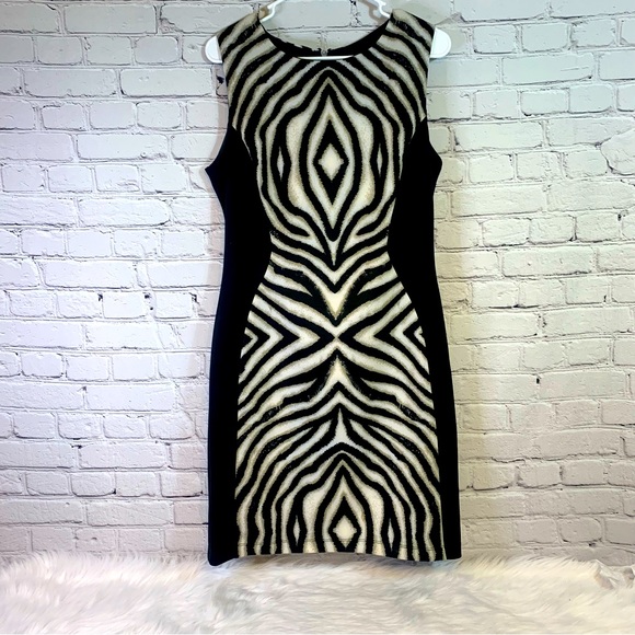 Bisou Bisou Dresses & Skirts - Bisou Bisou Zebra Print Slimming Dress